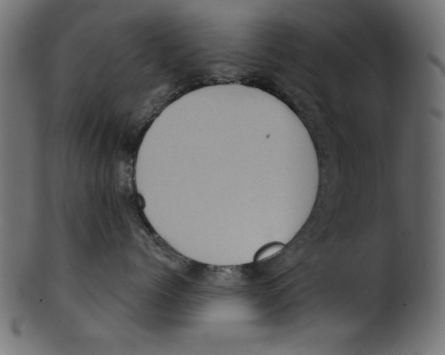 X0000100870768200807181236