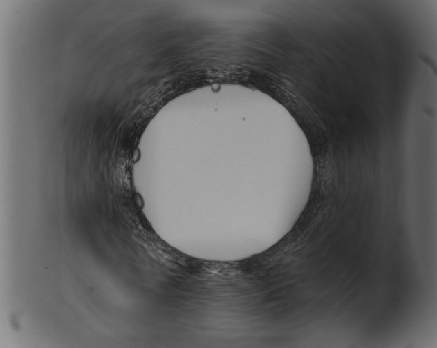 X0000100870770200807181235