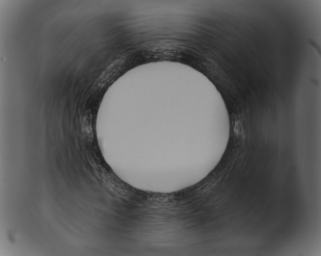 X0000100870771200807181235