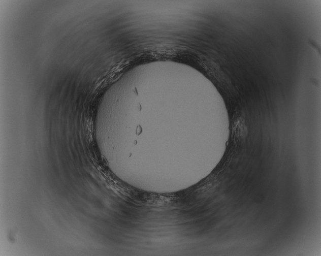 X0000100870772200807181235
