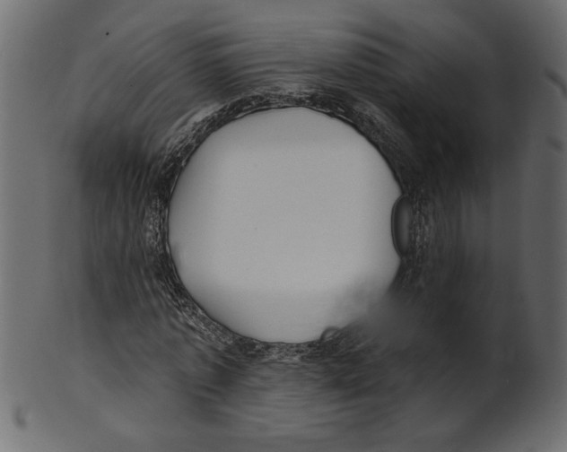 X0000100870773200807181235
