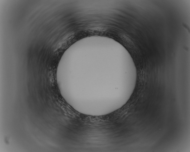 X0000100870774200807181235