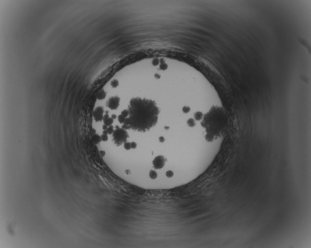 X0000100870775200807181235