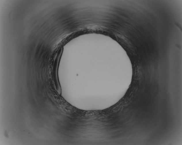 X0000100870776200807181235