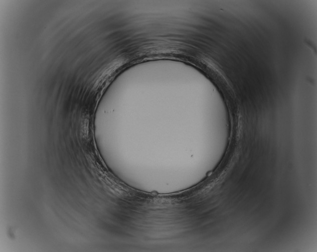 X0000100870777200807181235