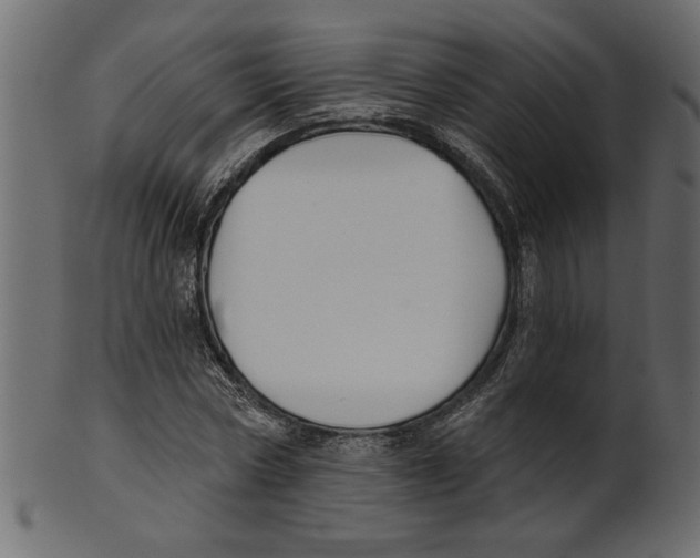 X0000100870778200807181235