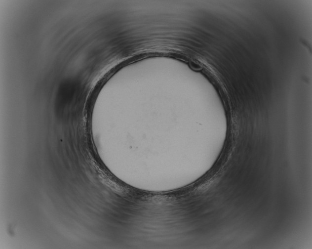 X0000100870779200807181235