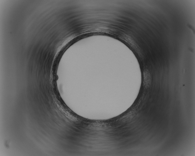 X0000100870780200807181235