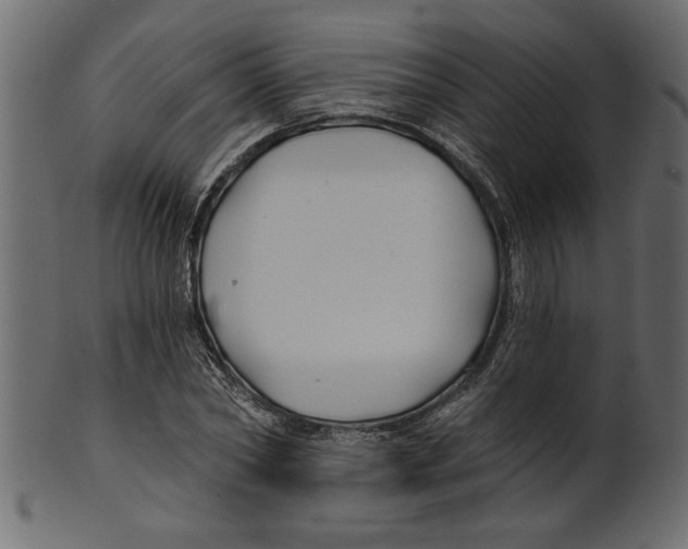 X0000100870782200807181235