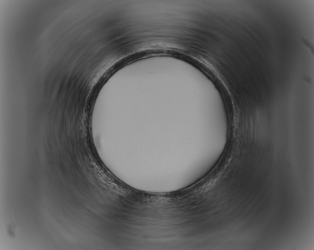 X0000100870783200807181235