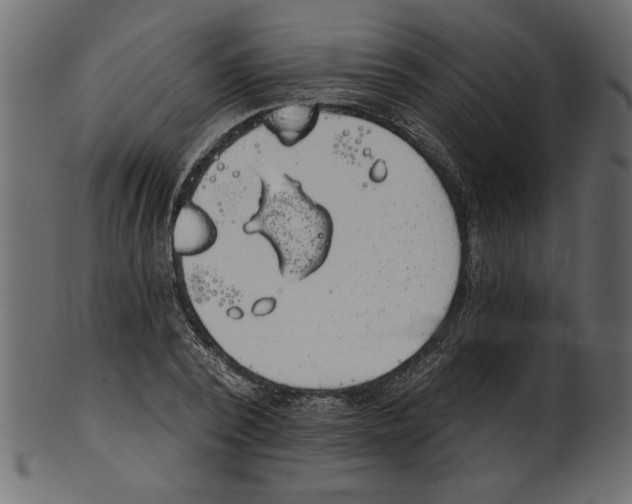 X0000100870784200807181235