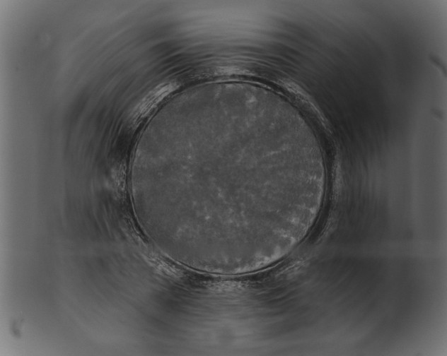 X0000100870785200807181235