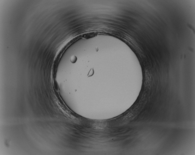 X0000100870788200807181235