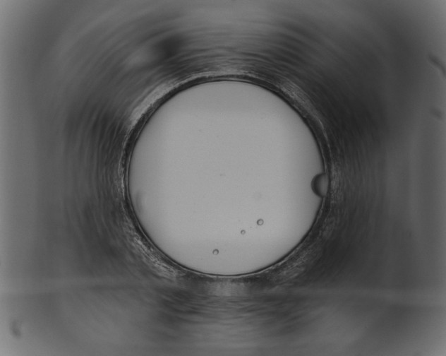 X0000100870789200807181235