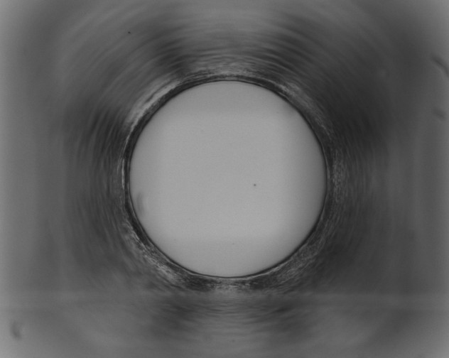 X0000100870790200807181235