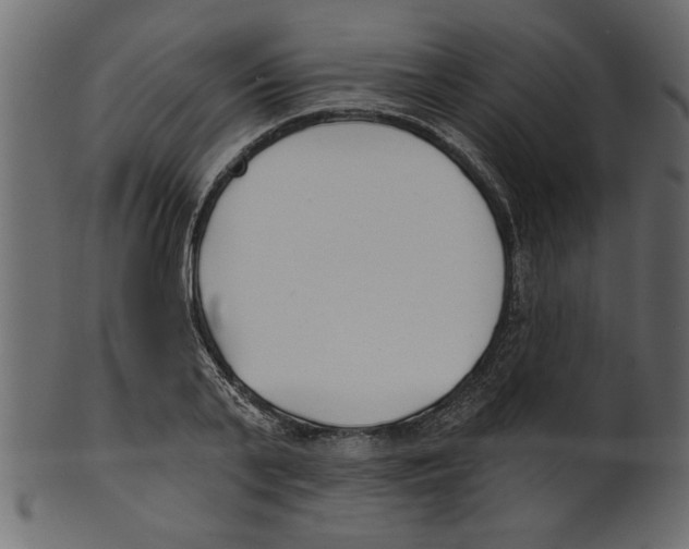 X0000100870791200807181235