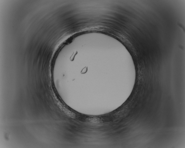 X0000100870792200807181235