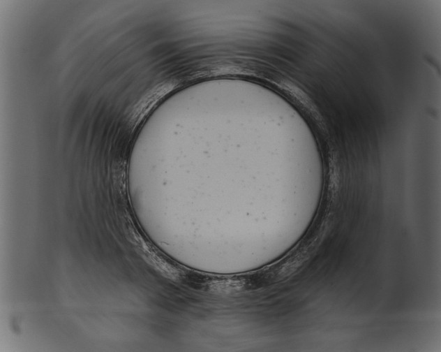 X0000100870793200807181235