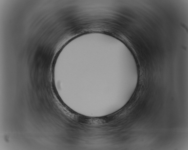 X0000100870795200807181235