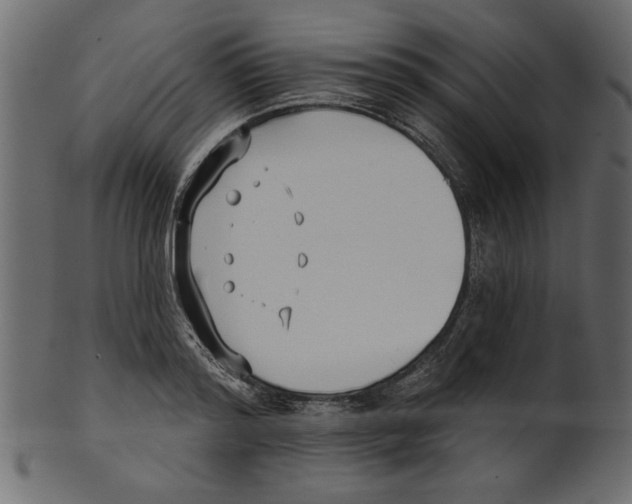 X0000100870796200807181235
