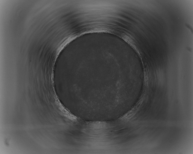 X0000100870797200807181235