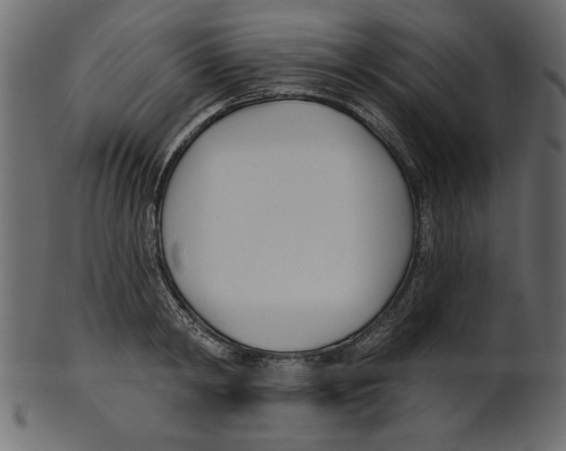 X0000100870798200807181235