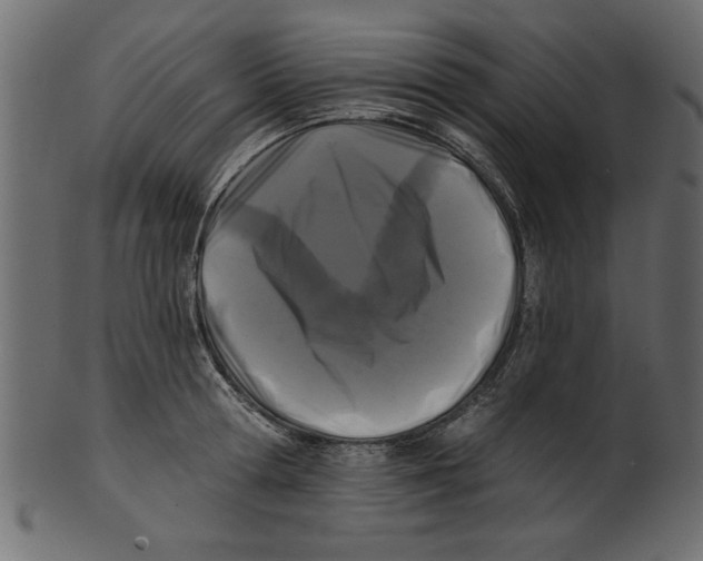 X0000100870802200807181235