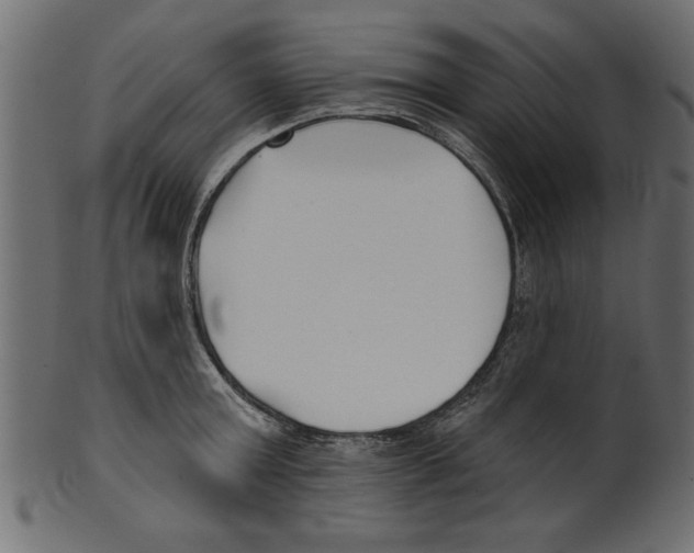 X0000100870803200807181235
