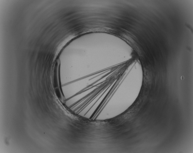 X0000100870804200807181235