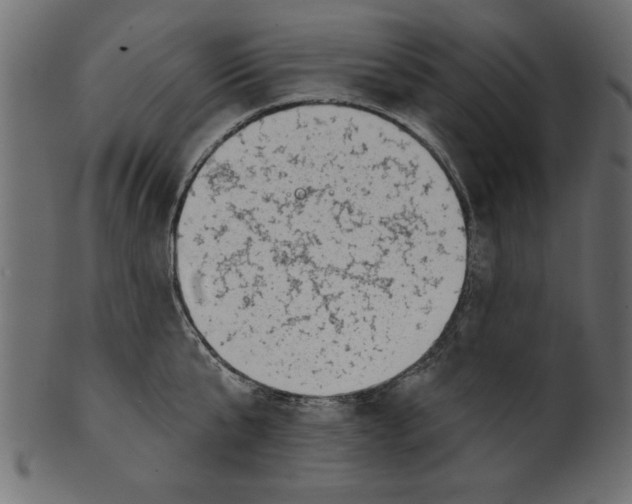 X0000100870807200807181235