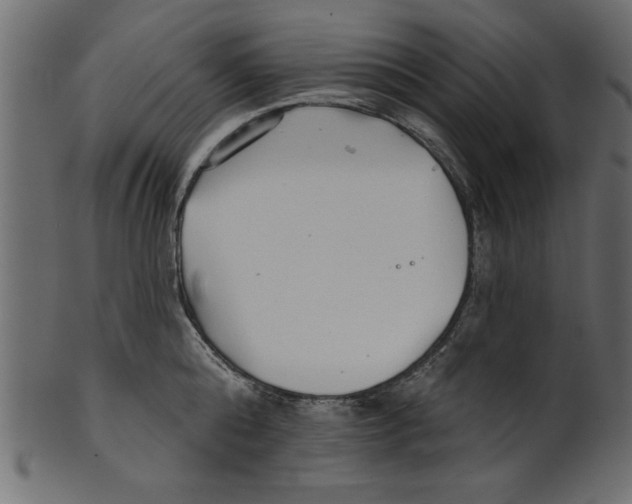 X0000100870808200807181235