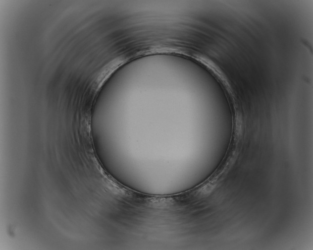X0000100870809200807181235