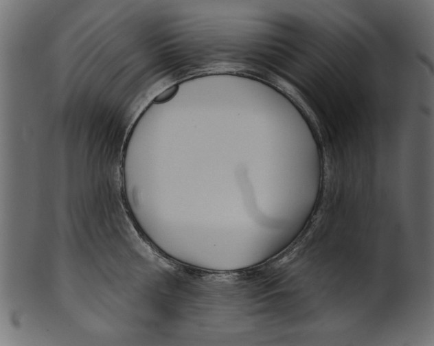 X0000100870810200807181235
