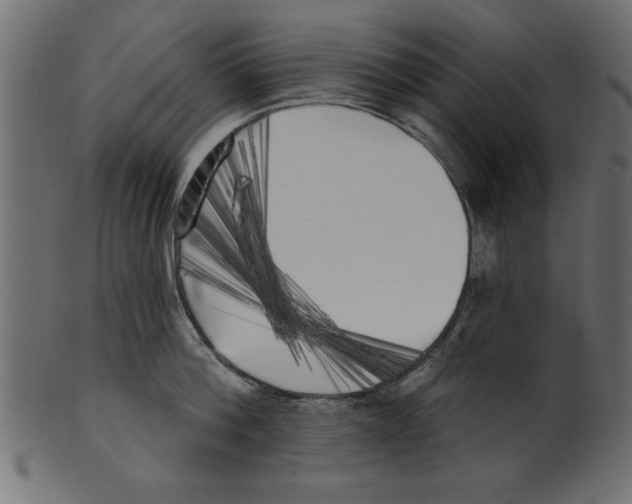 X0000100870812200807181235