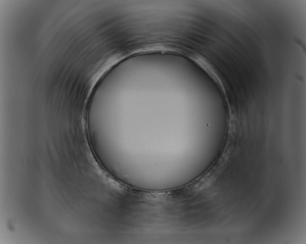 X0000100870813200807181235
