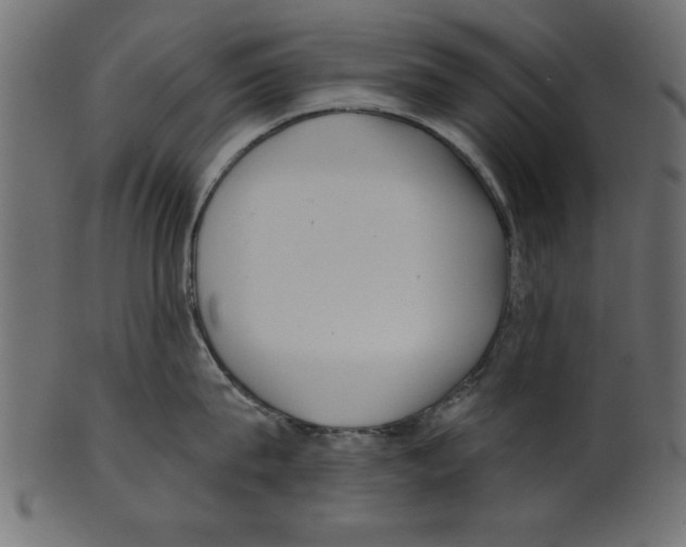 X0000100870815200807181235
