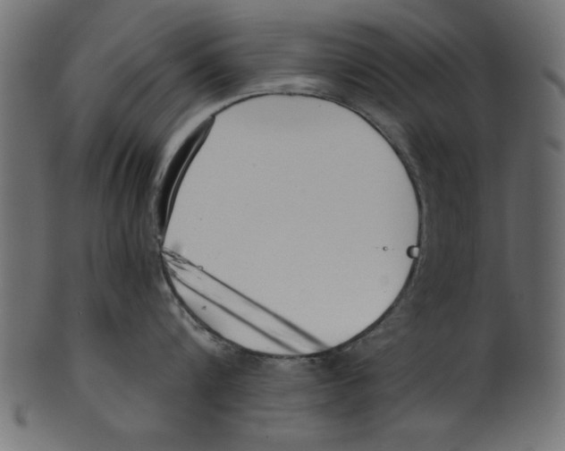 X0000100870816200807181235