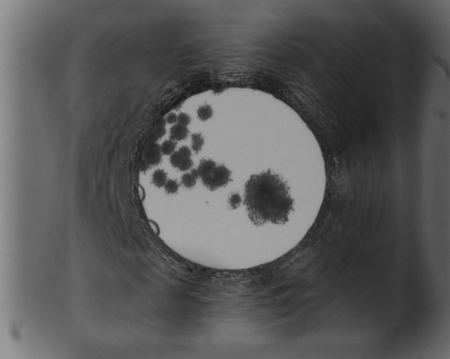 X0000100870817200807181234