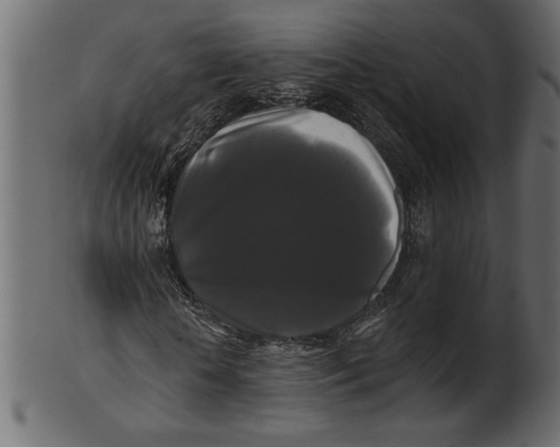 X0000100870818200807181234