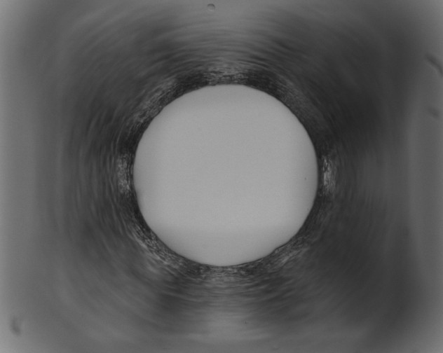 X0000100870819200807181234