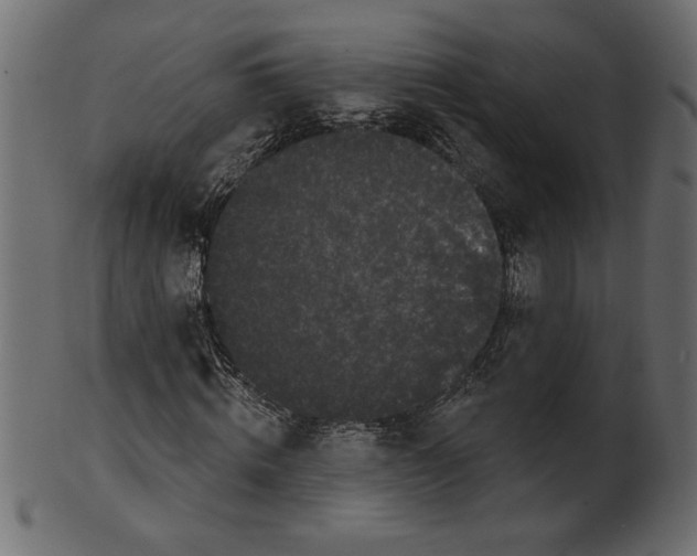 X0000100870820200807181234