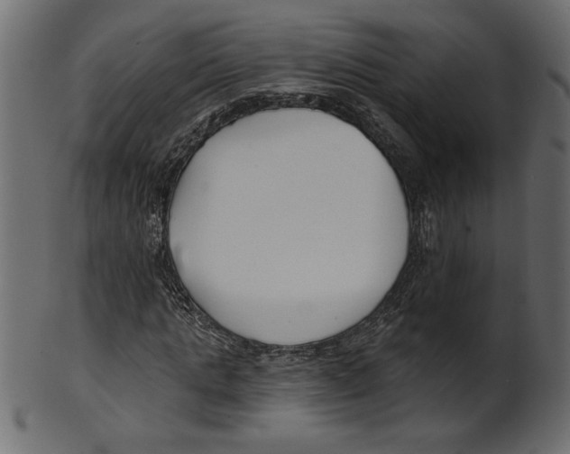 X0000100870821200807181234
