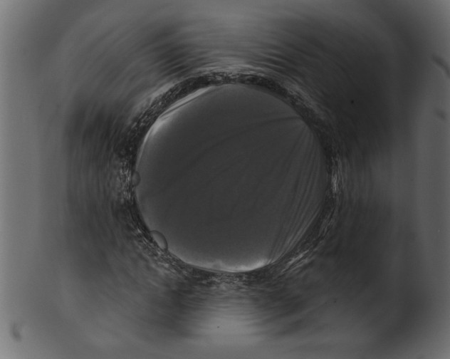 X0000100870822200807181234