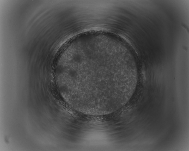 X0000100870823200807181234