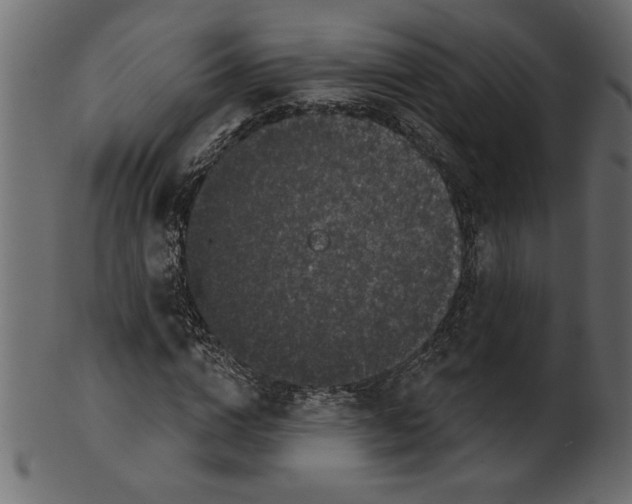 X0000100870824200807181234