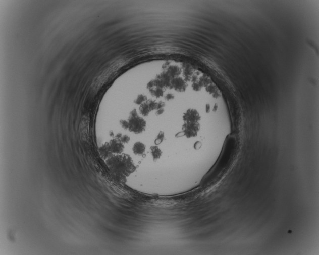 X0000100870825200807181234