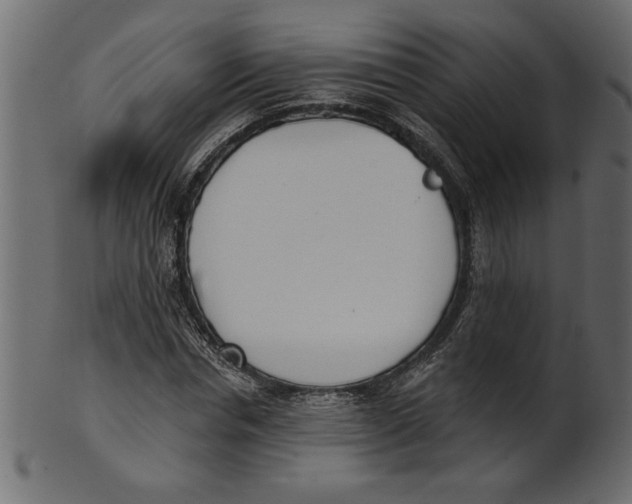 X0000100870826200807181234