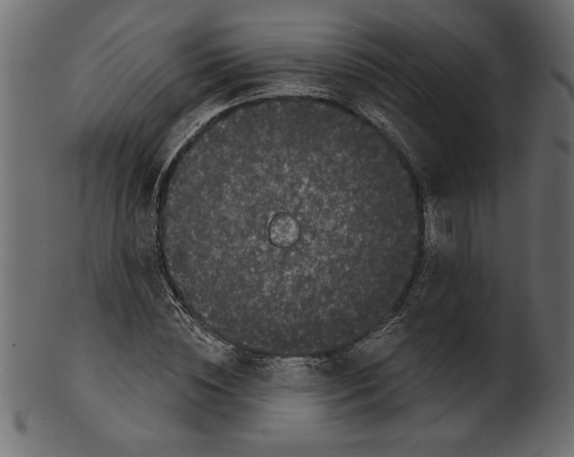 X0000100870828200807181234