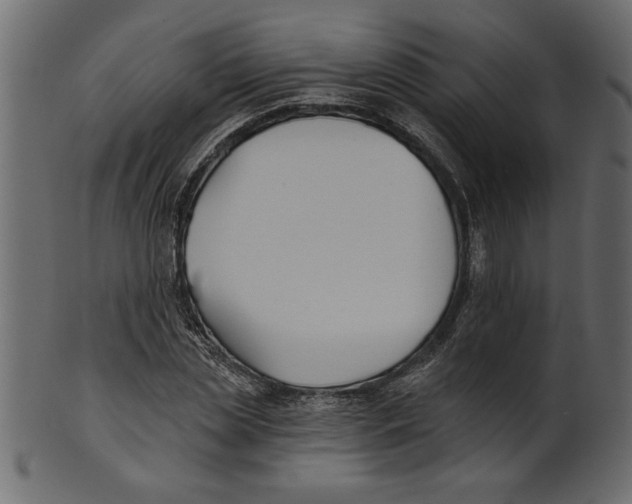 X0000100870829200807181234