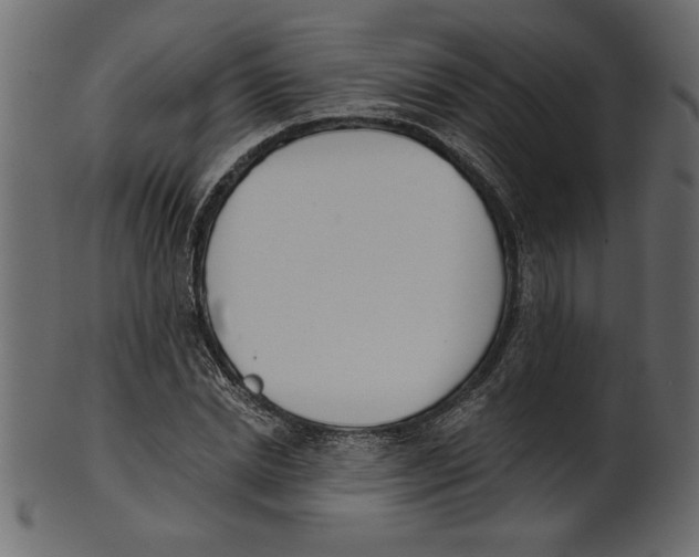 X0000100870830200807181234